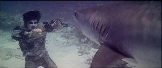 2012-12-29-zombieflesheaters8-533x226