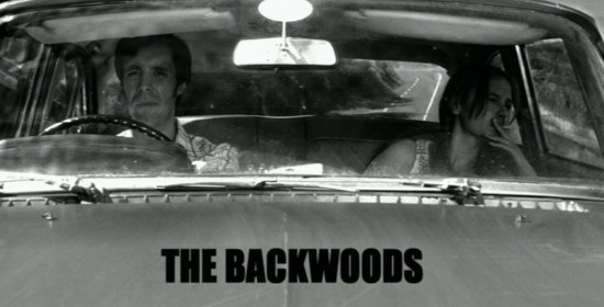 tirtle-backwoods