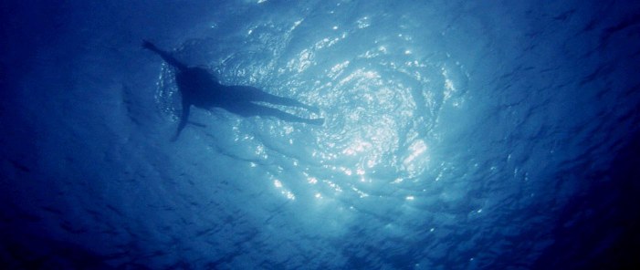 jaws-swim-scene-02