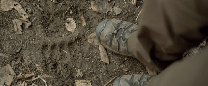 Backcountry - Bear Paw