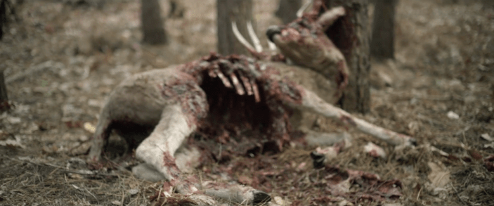 Backcountry - Bloody Carcass