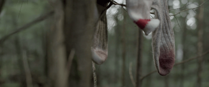 Backcountry - Bloody Socks