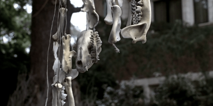 screen-shot-2016-11-11-at-9-22-59-pm