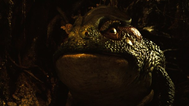 1354132431_pan_s.labyrinth.2006.1080p.bluray.x264.dts.rus-eng1