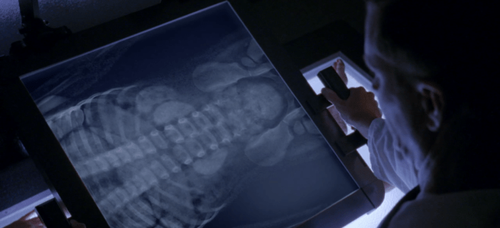 screen-shot-2016-11-17-at-10-39-44-pm