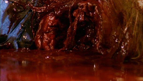 tumblr_le86wpjc6p1qcc83zo1_1280