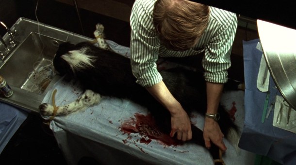 No-Telling-still-3_283824dc-a267-e511-9442-0ad9f5e1f797_lg