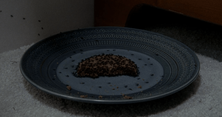 Father Son Holy Gore - The Walking Dead - Sam's Rotten Food