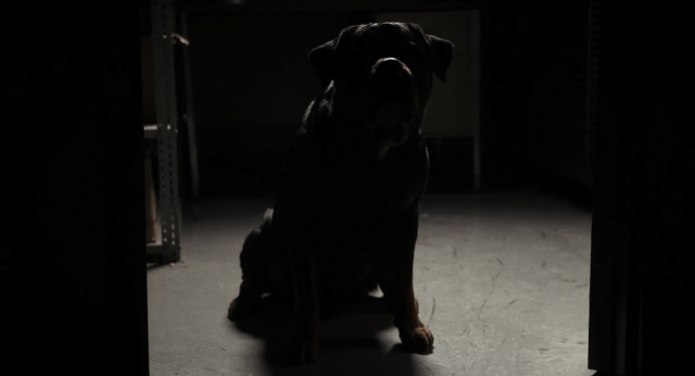 Screen Shot 2016-03-22 at 4.17.17 PM