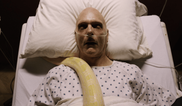 Screen Shot 2016-03-31 at 1.38.07 AM