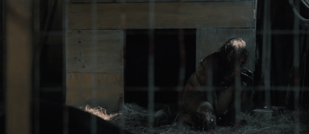 Screen Shot 2016-04-23 at 12.41.27 PM