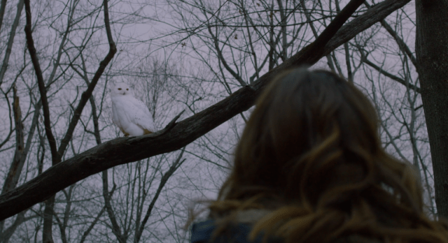 Screen Shot 2016-05-25 at 3.08.16 PM