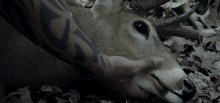 Screen Shot 2016-05-28 at 9.57.33 PM