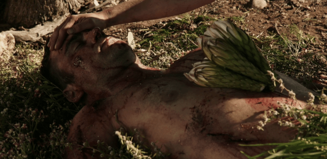 screen-shot-2016-11-07-at-9-39-08-pm