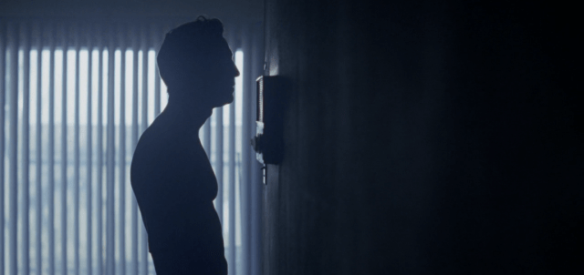 Screen Shot 2016-07-13 at 1.18.39 PM