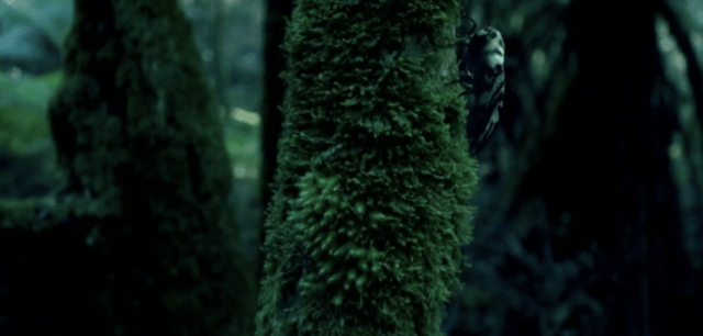 Screen Shot 2016-07-18 at 11.24.28 PM