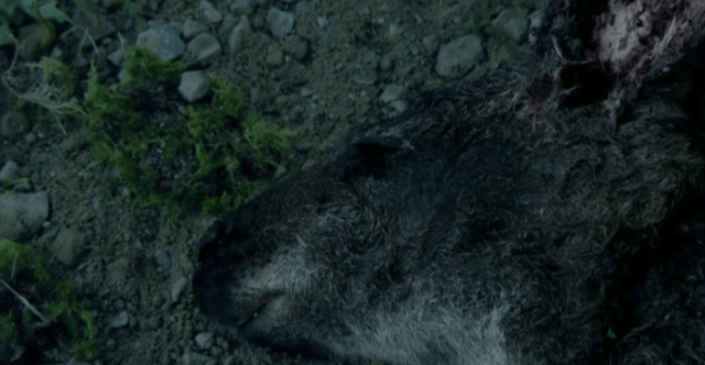 Screen Shot 2016-07-18 at 11.36.16 PM