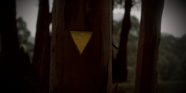 Screen Shot 2016-08-02 at 11.18.34 AM