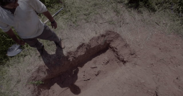 Screen Shot 2016-08-25 at 12.37.44 AM