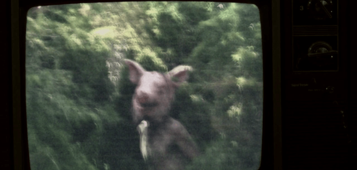 screen-shot-2016-09-15-at-1-59-43-am