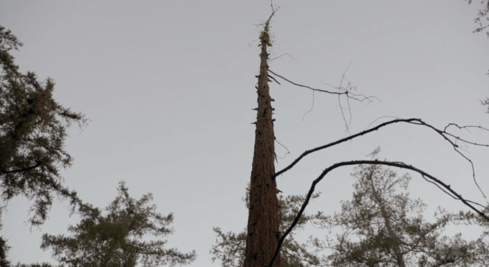 screen-shot-2016-09-22-at-2-42-58-am