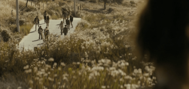 screen-shot-2016-10-03-at-1-04-41-am