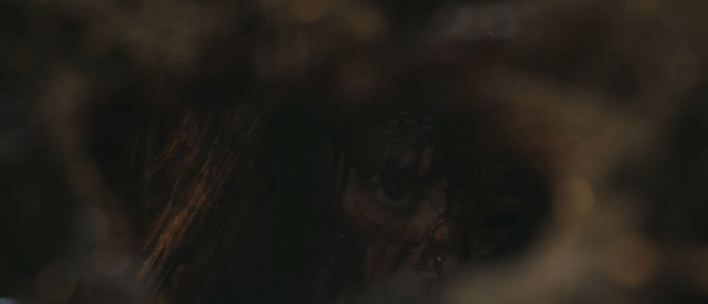 screen-shot-2016-10-08-at-1-04-26-am