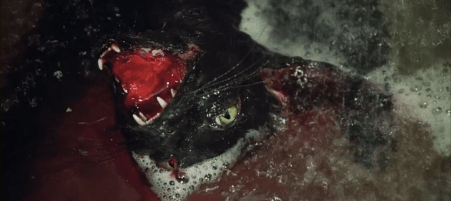 screen-shot-2016-10-08-at-9-18-55-pm