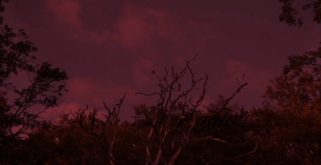 screen-shot-2016-10-27-at-11-02-07-pm