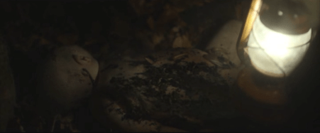 screen-shot-2016-10-27-at-11-03-58-pm