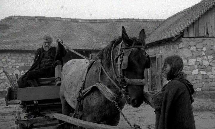 The Turin Horse