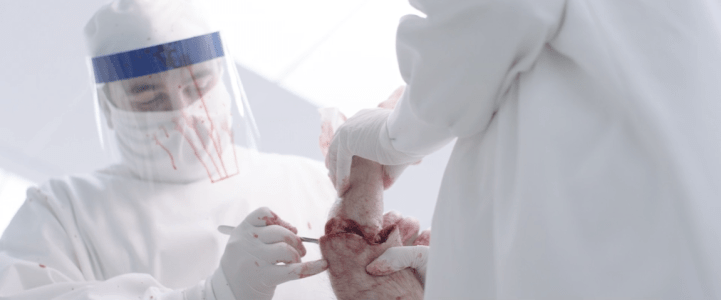 The Handmaid's Tale - Doctors