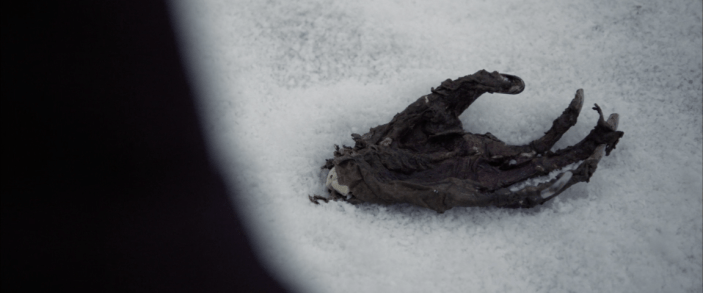 Screen Shot 2017-10-17 at 3.20.50 PM