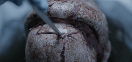 Screen Shot 2017-10-19 at 2.05.33 PM