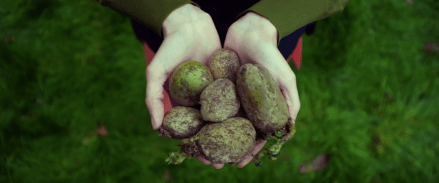 Screen Shot 2017-10-20 at 5.26.04 PM