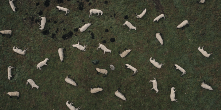 Netflix's Dark 1x03 "Past and Present"