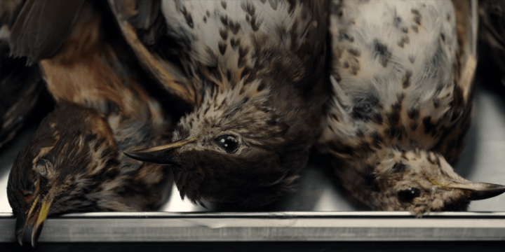 Netflix's Dark 1x04 "Double Lives"