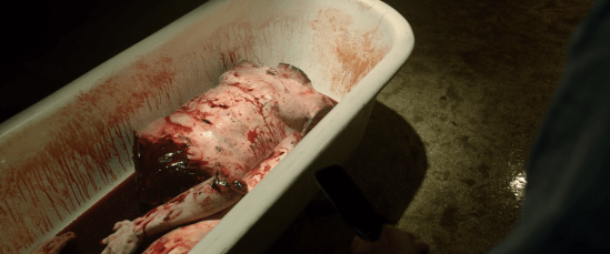 Screen Shot 2018-01-13 at 8.17.37 PM