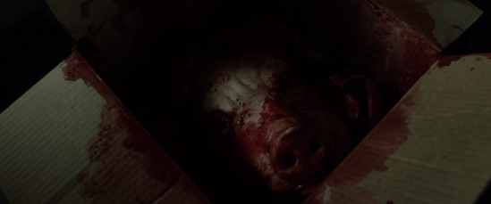 Screen Shot 2018-01-15 at 11.18.05 PM