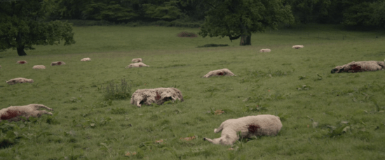 Screen Shot 2018-02-16 at 3.50.37 PM