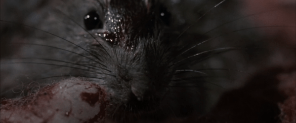 Screen Shot 2018-02-23 at 2.51.09 AM