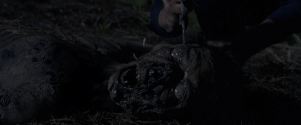 Screen Shot 2018-02-26 at 1.12.03 AM