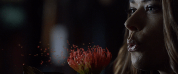 Screen Shot 2018-03-16 at 1.31.07 AM