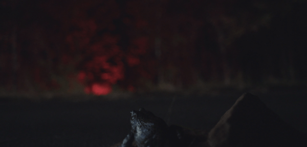 Screen Shot 2018-03-24 at 1.04.45 AM