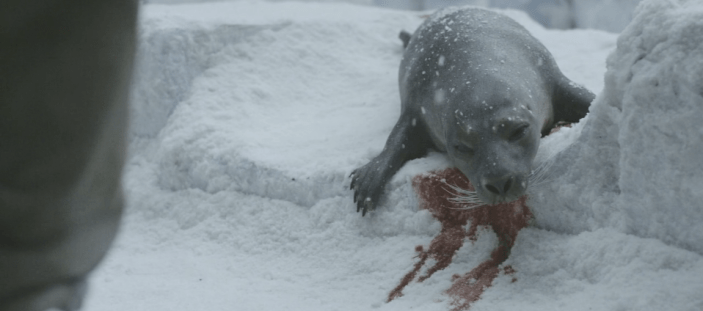 Screen Shot 2018-04-03 at 1.27.41 AM