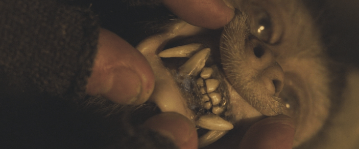 Screen Shot 2018-04-10 at 2.47.48 PM