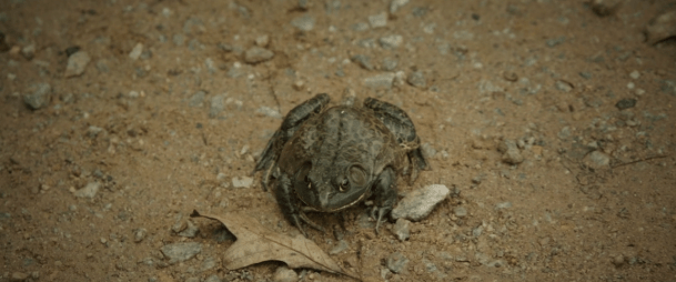 Screen Shot 2018-04-12 at 2.35.45 PM