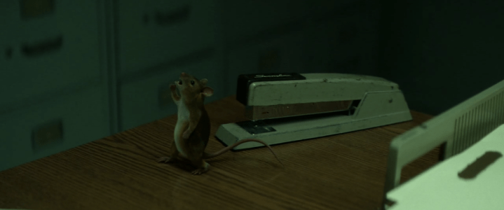 Screen Shot 2018-05-09 at 9.44.36 PM