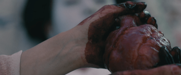 Screen Shot 2018-05-28 at 12.55.34 AM