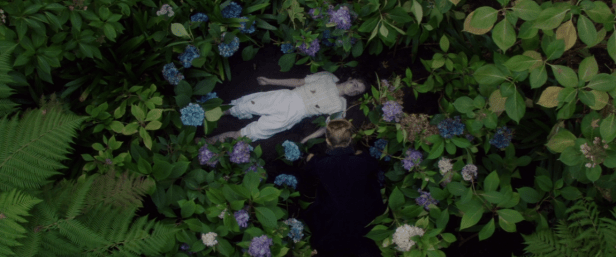 Screen Shot 2018-06-24 at 12.37.10 PM